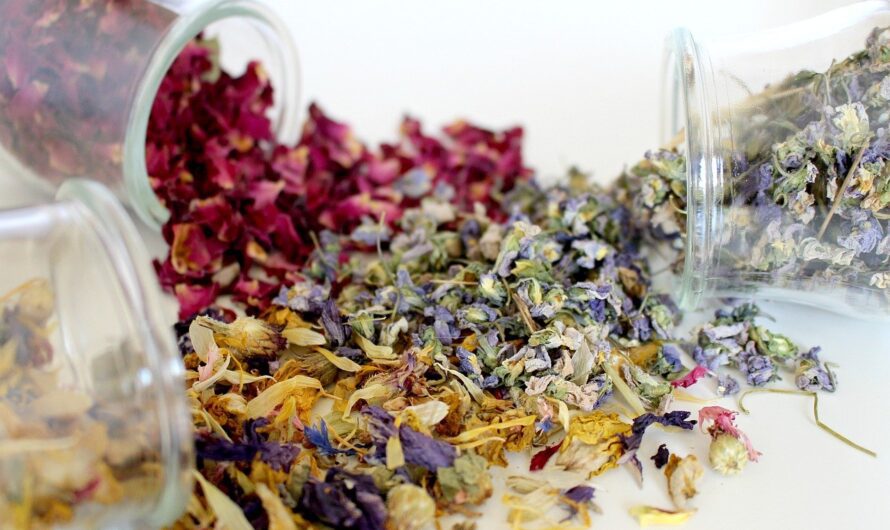 Czym są adaptogeny i w jaki sposób działają?