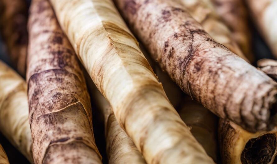 Galgant – Jakie ma właściwości prozdrowotne?