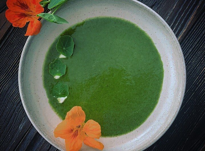 Nasturcja jadalna – Jak działa i jakie ma właśicwości