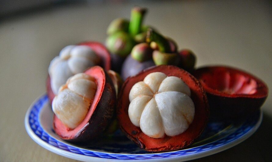 Mangostan – Co to jest? Właściwości i działanie