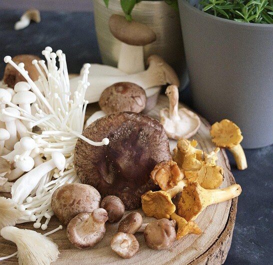 Grzyby enoki – dlaczego warto je jeść?