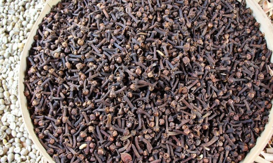 Na co pomaga ssanie goździków? Wyjaśniamy