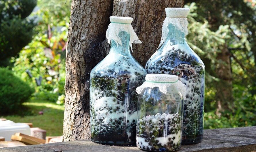 Czy sok z aronii może zaszkodzić? Podpowiadamy