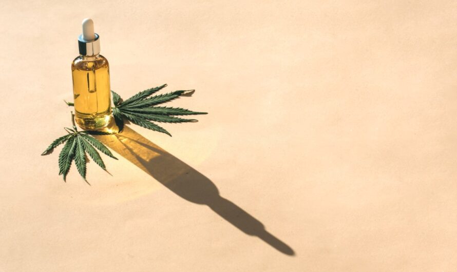 Waporyzatory – nowoczesny i zdrowszy sposób na korzystanie z ziół i CBD