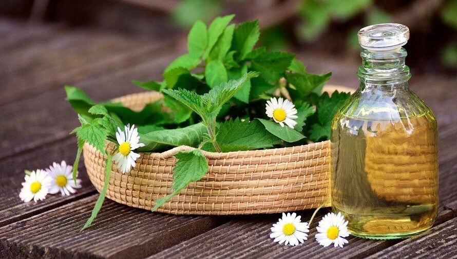 Syrop z pokrzywy – jak go zrobić i dlaczego warto?