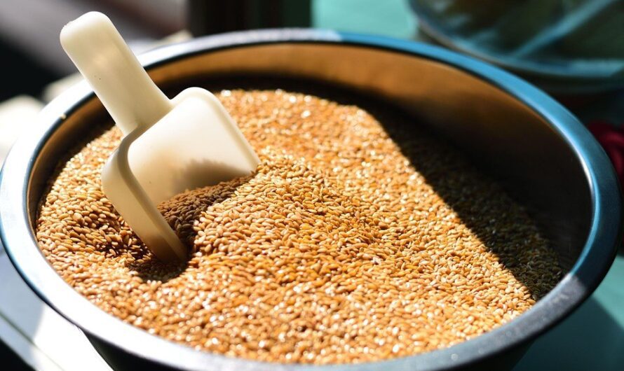 Jak jeść siemię lniane? Najlepsze przepisy i wskazania