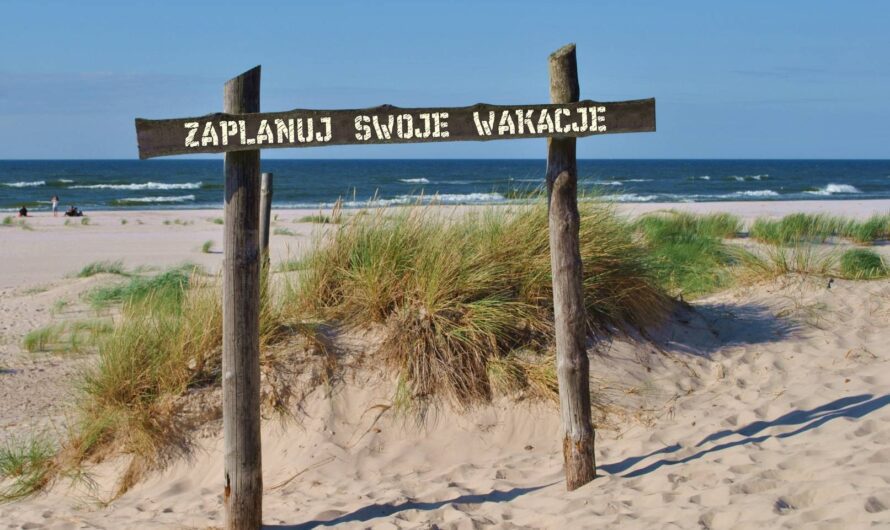 Jak znaleźć tani apartament w Grzybowie bez rezygnacji z komfortu?