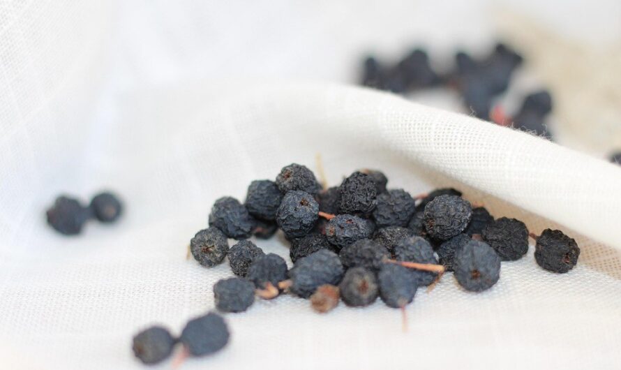 Aronia – właściwości-przeciwwskazania i zastosowanie