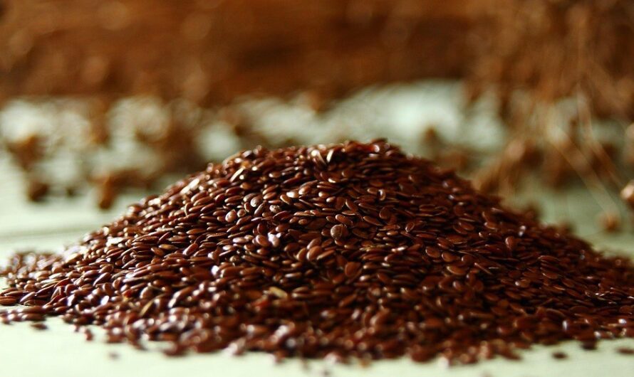 Siemie lniane na odchudzanie – czy i jak działa na metabolizm?