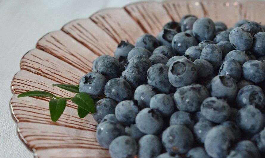 Czarne jagody wymiatają wolne rodniki i… tłuszcz – jak jeść?