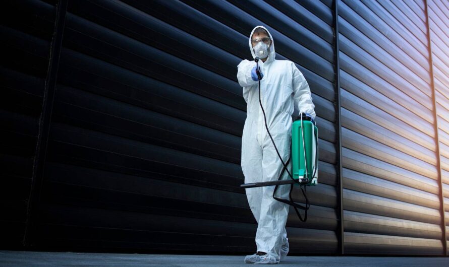 Panfil DDD – Twój partner w walce ze szkodnikami